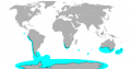 Пингвинота внезапно тусует не только в Антарктике, но добирается на север аж до непечально известных Галапагосских о-вов, то есть почти до экватора.