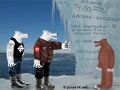 Арктика — для белых!