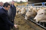 Саркози на фоне посещения сферического коровника.