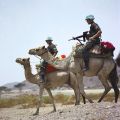 Верблюжьи автоматчики в Эритрее