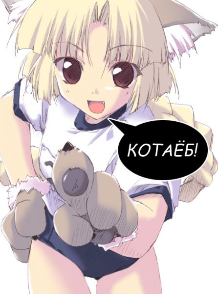 Файл:Talkingcat kotaeb real.jpg